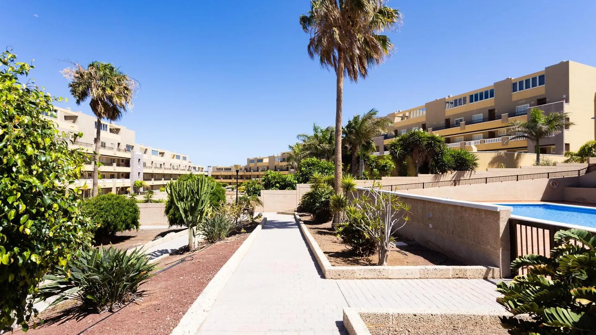 Appartement Home2Book Cozy & Bright El Medano, Pool & Terrace